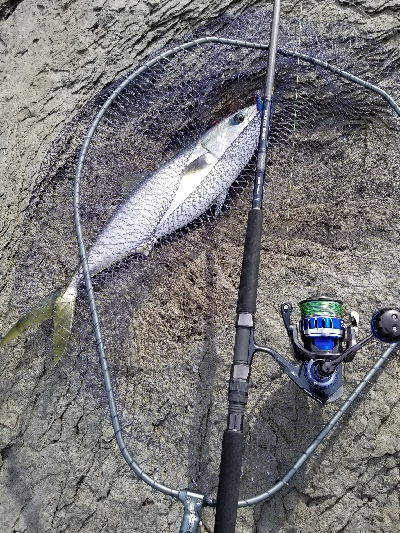 令和元年 遠征二日目にて