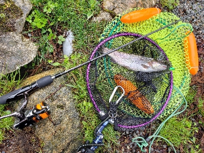 朽木渓流魚センター