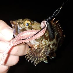 ワイワイガヤガヤ！