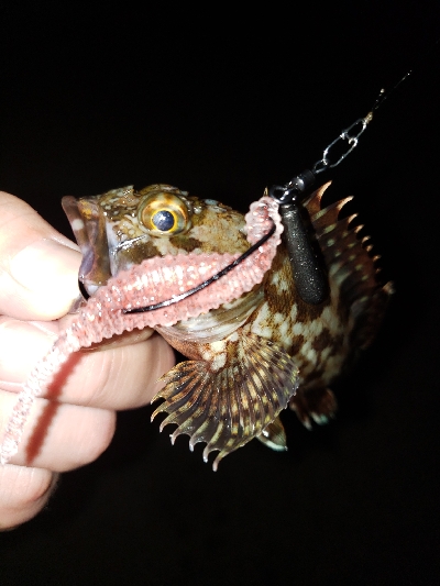 ワイワイガヤガヤ！