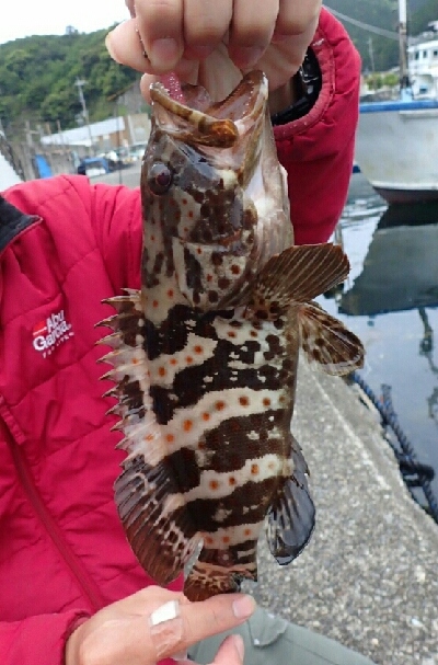 アオハター！マハター！