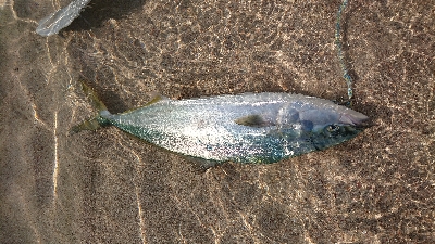 初のゴムボート