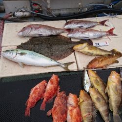 タイラバ&スロージギング&ジギング