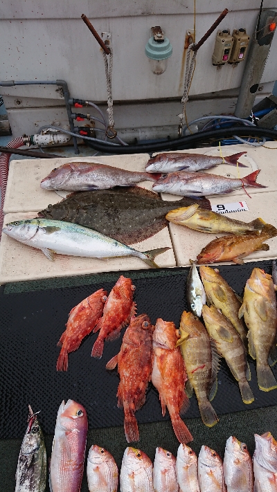 タイラバ&スロージギング&ジギング