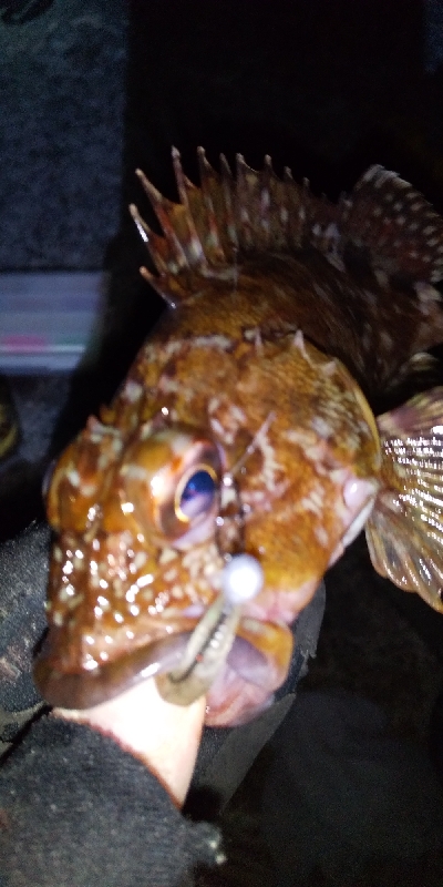 リベンジ成功(^^)/