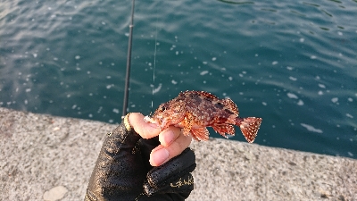 一文字突堤にて