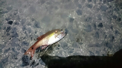 北浜小学校裏にて