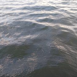 連休最後の釣行