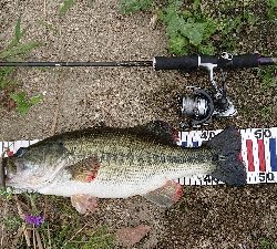 マッチザベイト