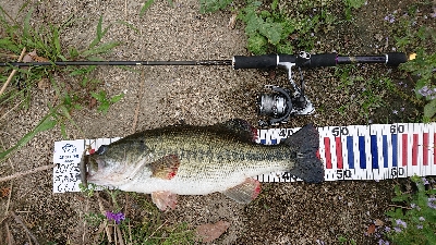 マッチザベイト