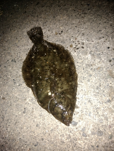 ちょい投げフィッシング