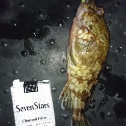 今日もガシガシ