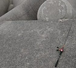 ウツボ狙いのはずが