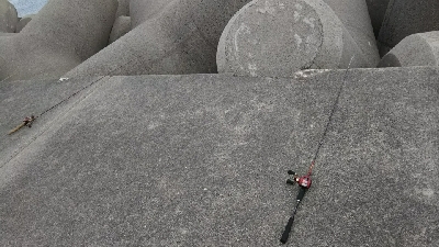 ウツボ狙いのはずが