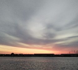 今季初シーバス