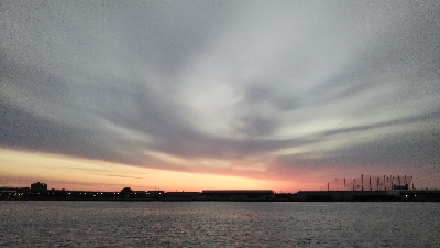 今季初シーバス