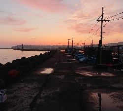 釣り部  釣行記  ３０