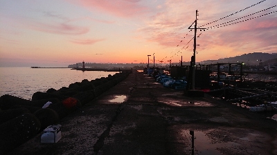 釣り部  釣行記  ３０