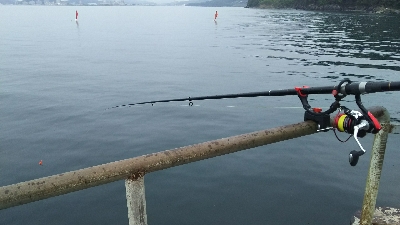 飲ませ釣りで