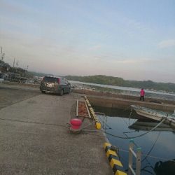 令和 最初の釣り