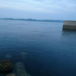 しょぼしょぼです