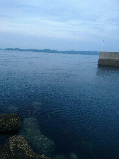 しょぼしょぼです