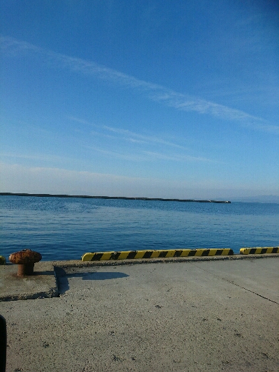 やばいのが来ました