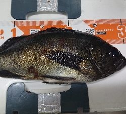 デカメバリング