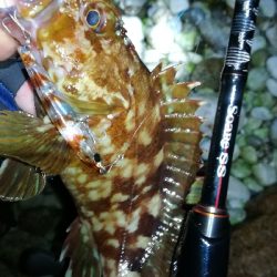 ナイトメバリング