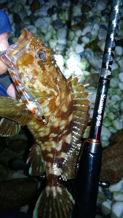 ナイトメバリング