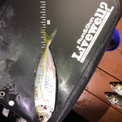 年号またぎアジング笑