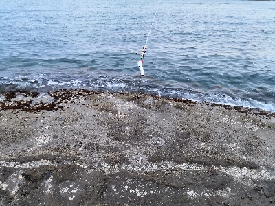 GWのアオリイカ釣行