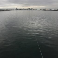 令和 初メバリング