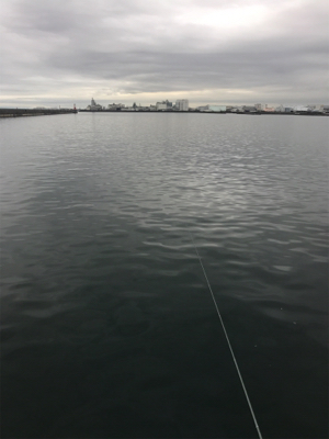 令和 初メバリング