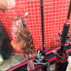 令和初釣行津田一文字ガシラ爆釣ポイント