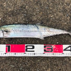 サゴワンから令和はスタート^_^