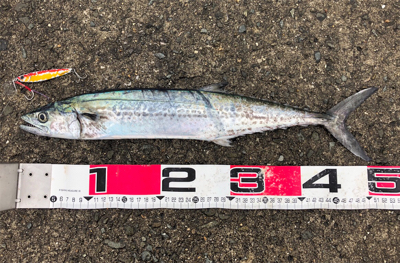 サゴワンから令和はスタート^_^