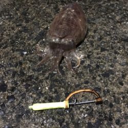 やっとコウちゃんに出会えた