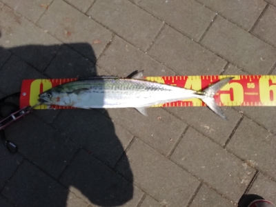 奇跡起きました！