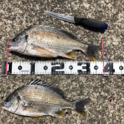 武庫川尻 ホームにて