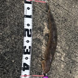 遠征2日目津田一文字