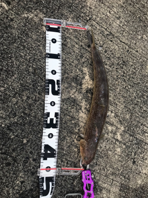 遠征2日目津田一文字