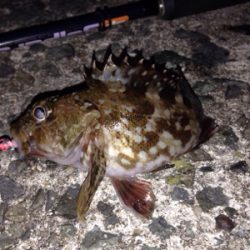 平成最後のライトゲーム