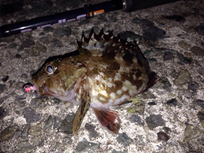 平成最後のライトゲーム