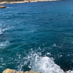 グレ狙いで磯釣り