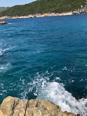 グレ狙いで磯釣り