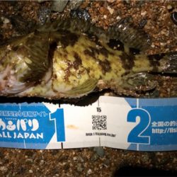 デカロックサーフプラッキング