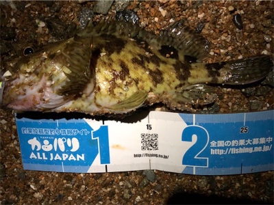 デカロックサーフプラッキング