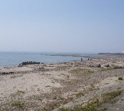 重信川　チヌ　すれがかり