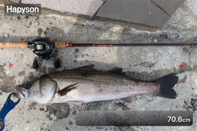 白昼ビッグシーバスｷﾀ――(ﾟ∀ﾟ)――!…